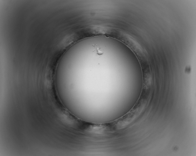 X0000103150414200808221336