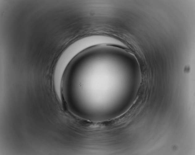 X0000103150415200808221336