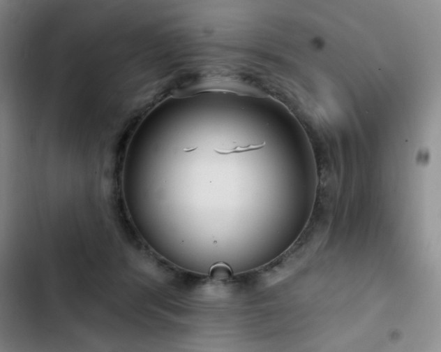 X0000103150416200808221336