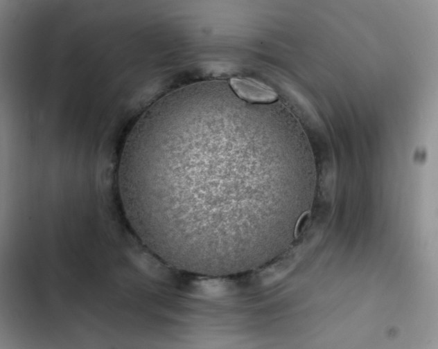 X0000103150417200808221336