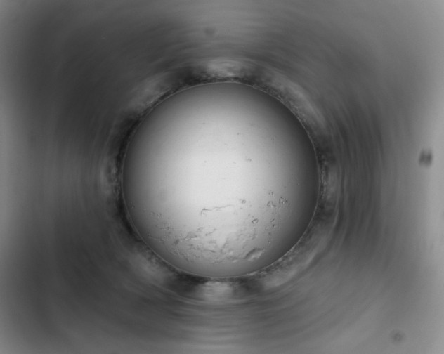 X0000103150418200808221336