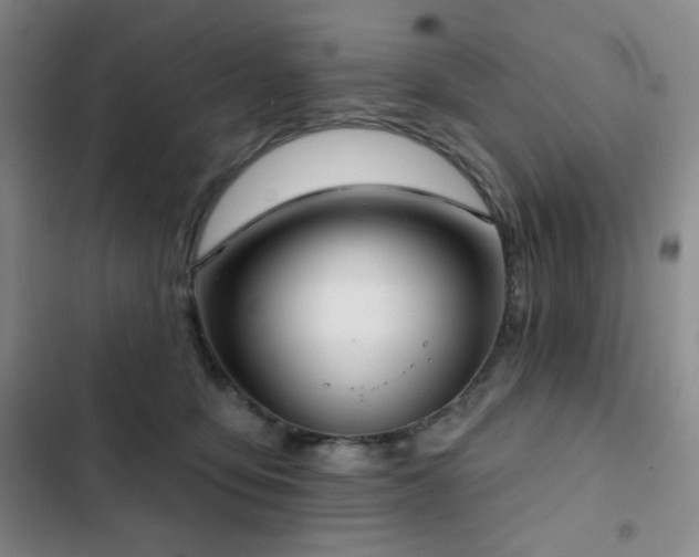 X0000103150419200808221335