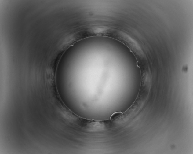 X0000103150421200808221335