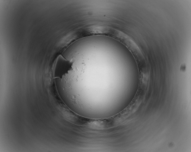 X0000103150422200808221335