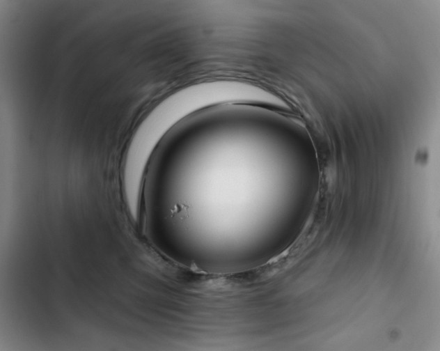 X0000103150423200808221335