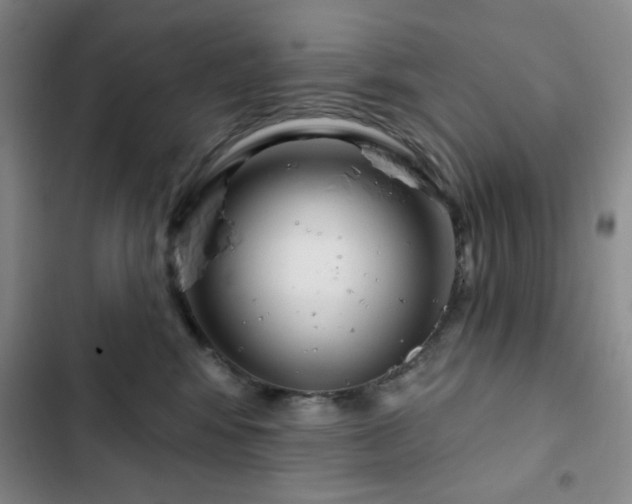 X0000103150424200808221335