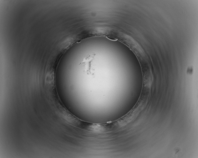 X0000103150425200808221335