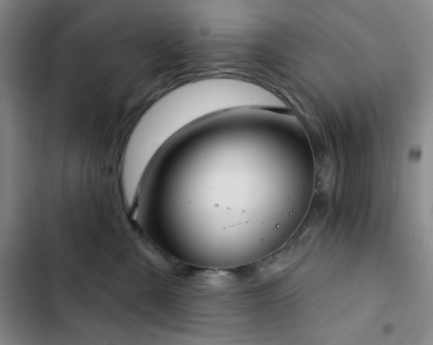 X0000103150427200808221335