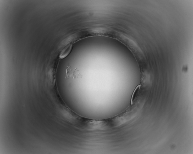 X0000103150428200808221335