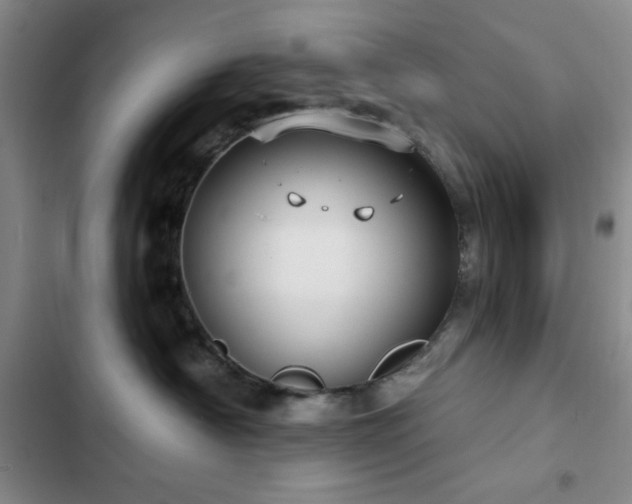 X0000103150430200808221335