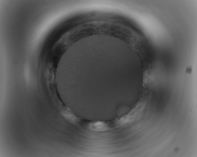 X0000103150431200808221335