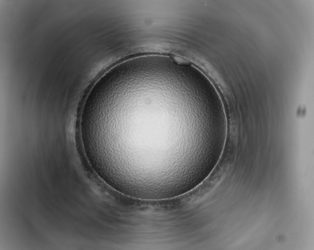 X0000103150434200808221334