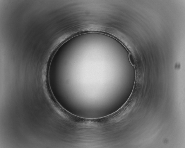 X0000103150437200808221335