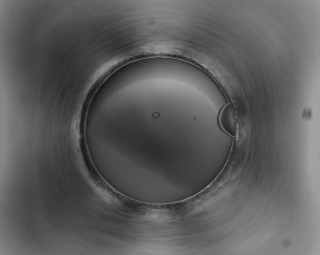 X0000103150438200808221335