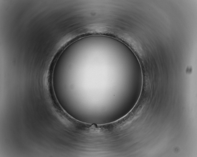 X0000103150439200808221335