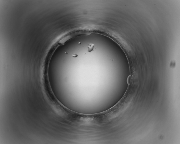 X0000103150440200808221335