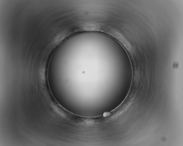 X0000103150441200808221335