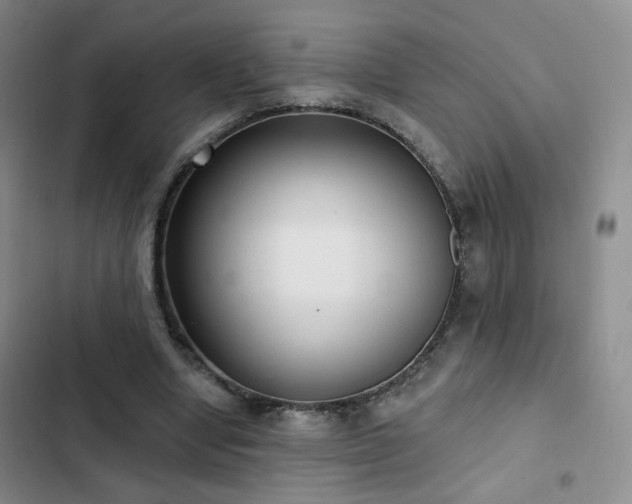 X0000103150442200808221335