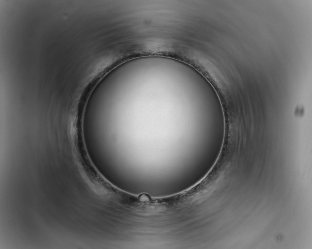 X0000103150443200808221335