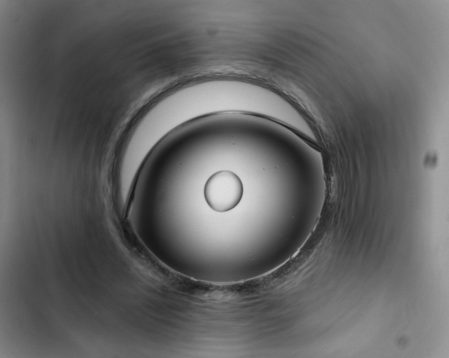 X0000103150444200808221335