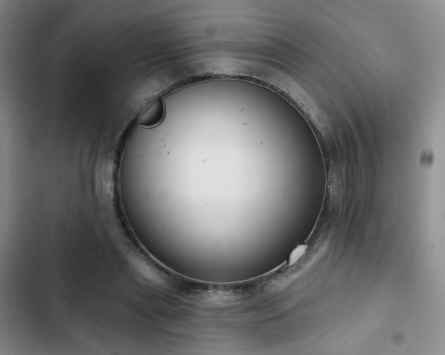 X0000103150445200808221335