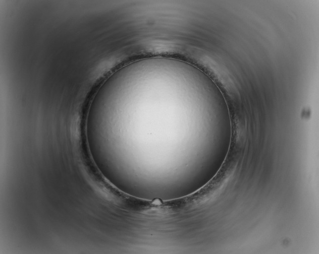 X0000103150447200808221335