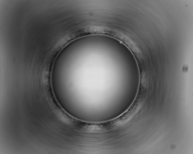 X0000103150449200808221335