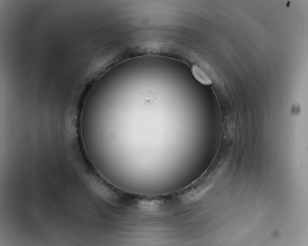 X0000103150450200808221335