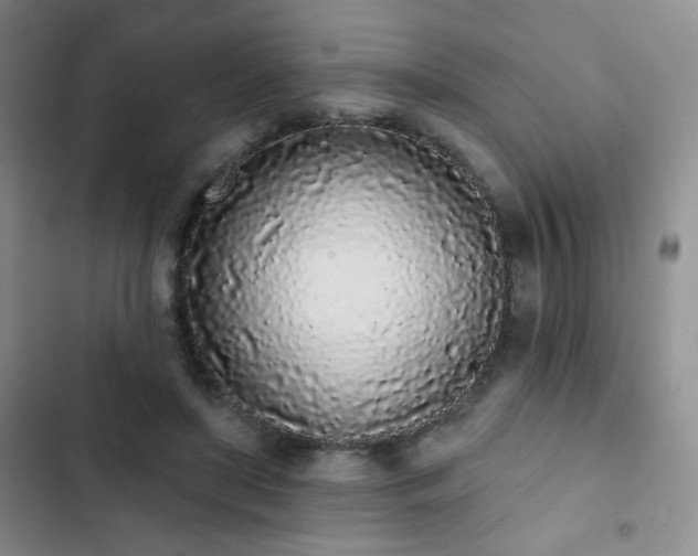 X0000103150451200808221335