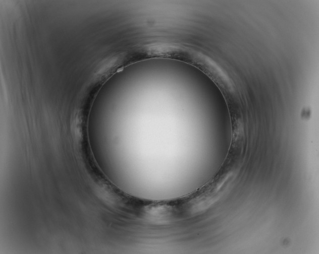 X0000103150452200808221335