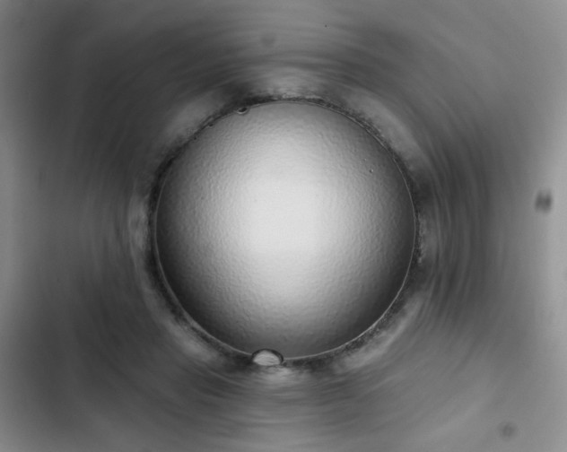 X0000103150453200808221335