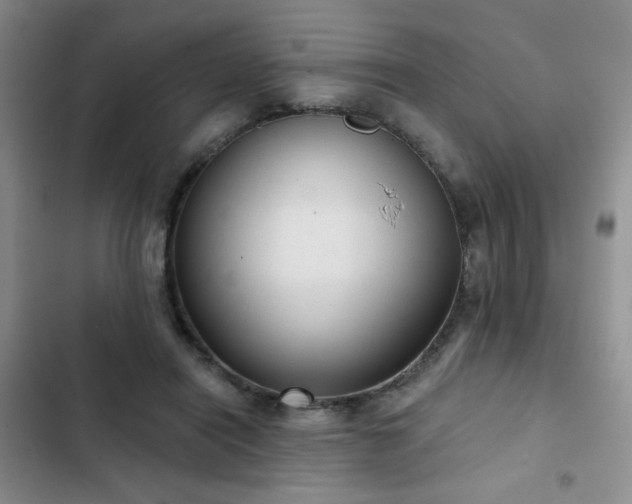 X0000103150454200808221335