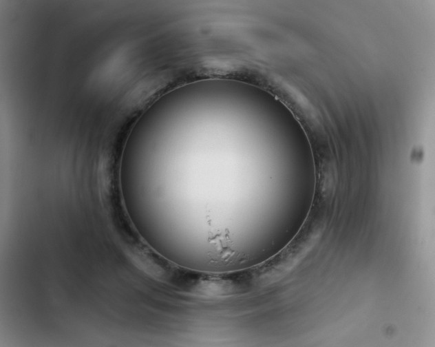 X0000103150455200808221335