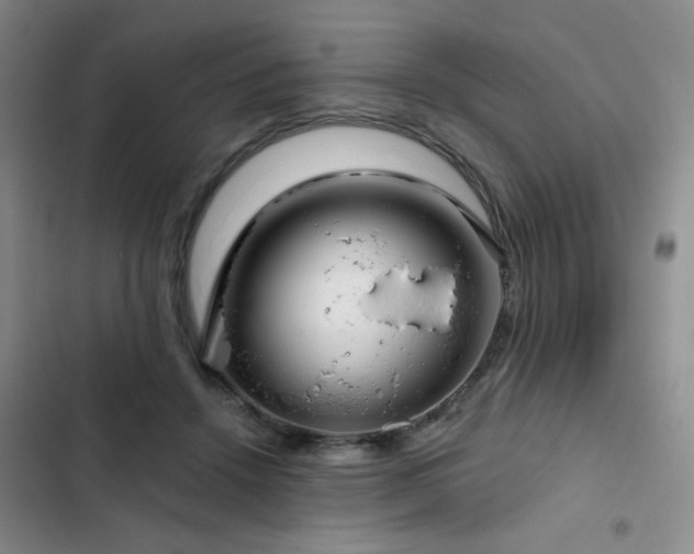 X0000103150456200808221335