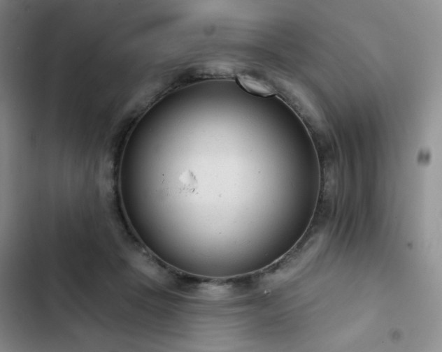 X0000103150457200808221335