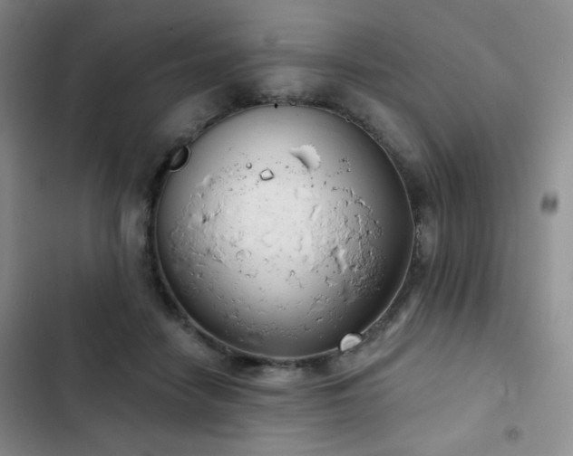 X0000103150458200808221335