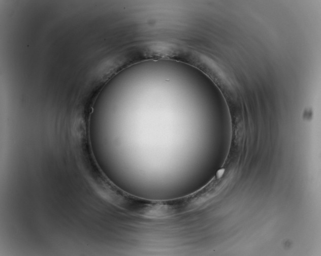 X0000103150459200808221335