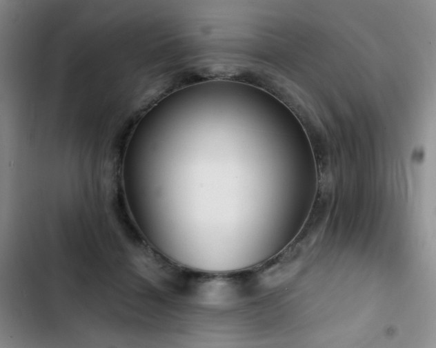 X0000103150460200808221335