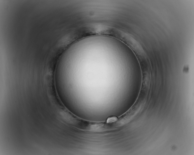 X0000103150461200808221335