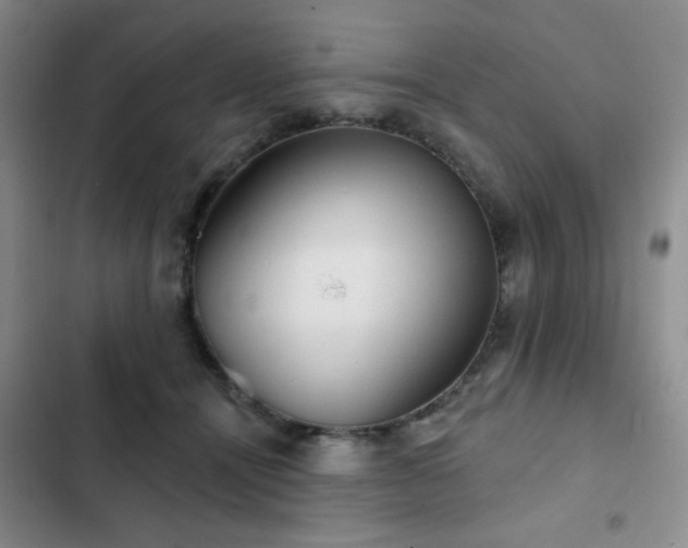 X0000103150464200808221335