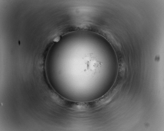 X0000103150466200808221335