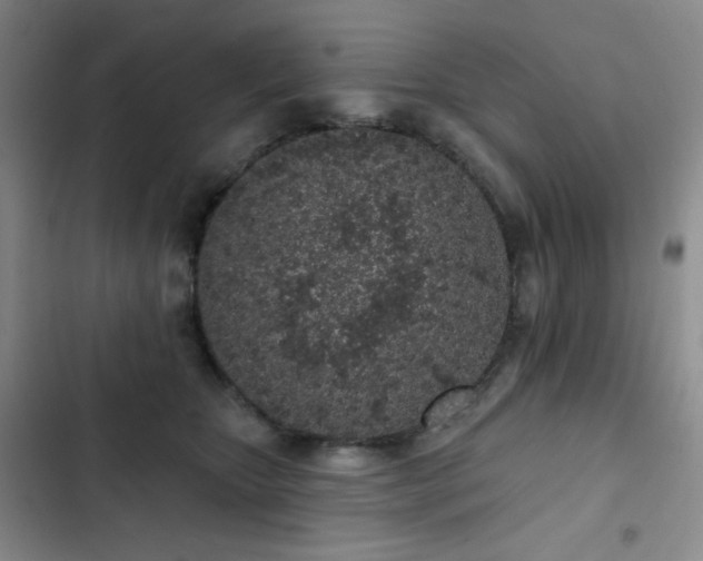 X0000103150467200808221335