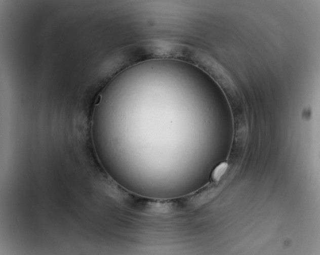 X0000103150469200808221335