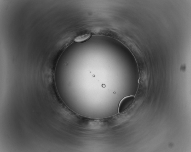 X0000103150470200808221335