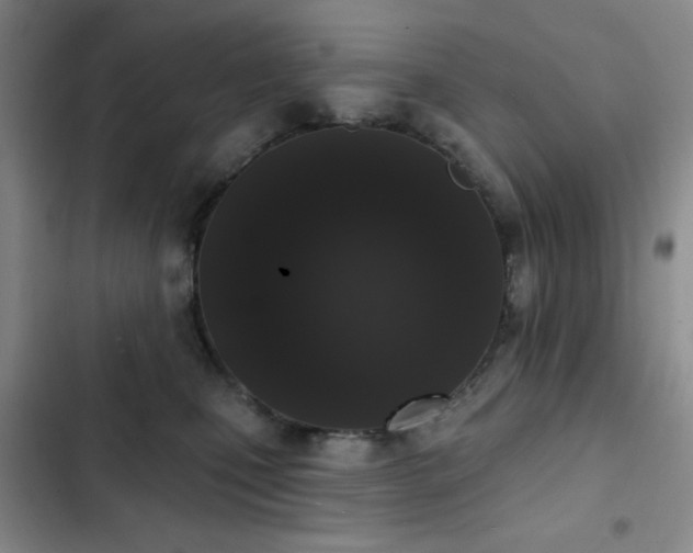 X0000103150471200808221335