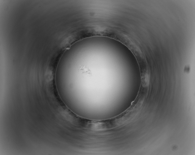 X0000103150472200808221335