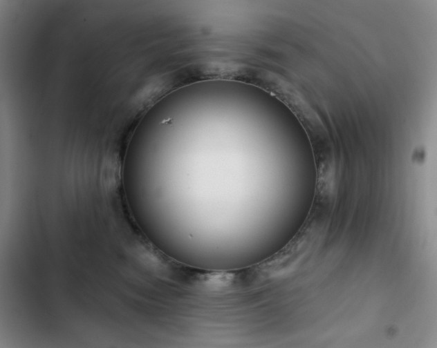 X0000103150474200808221335