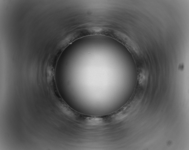 X0000103150476200808221335