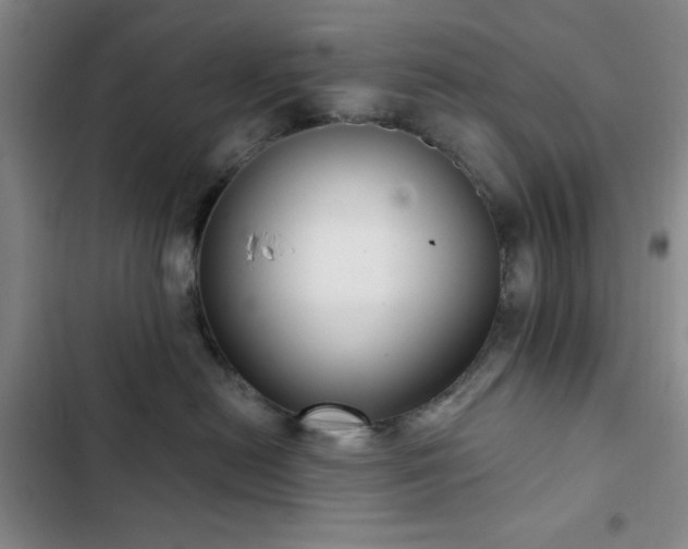 X0000103150478200808221335