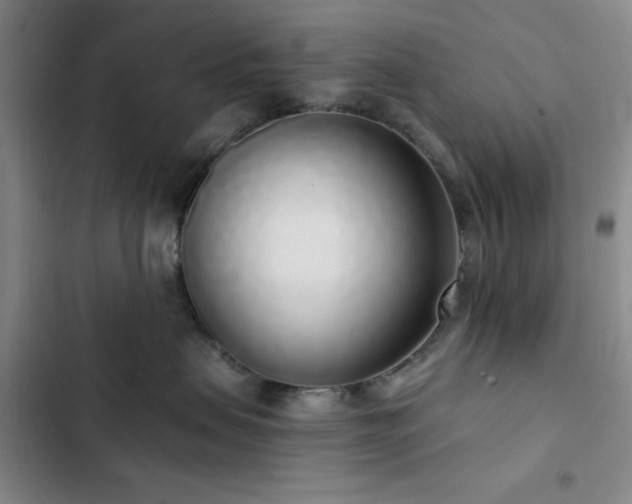 X0000103150479200808221335